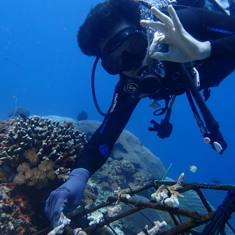 Connor Yaryura restoring coral with the Blue Corner Conservation team at Nusa Penida