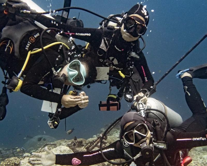 Indonesian university students on the conservation scholarship program