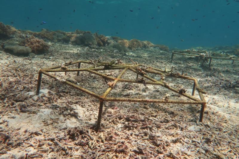 A modular coated-metal coral restoration frame on the seafloor