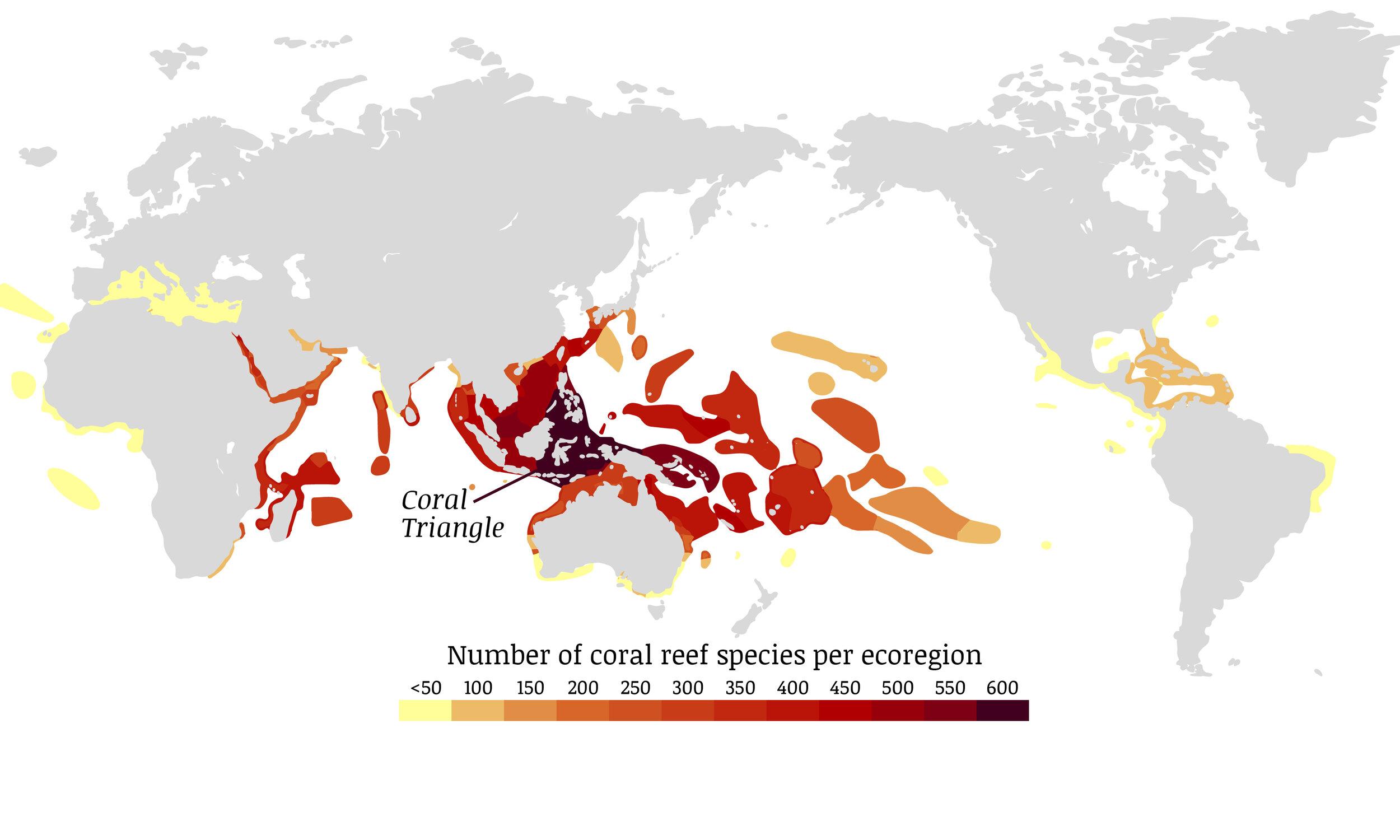 Map of the Coral Triangle showing Indonesia, the Philippines and Malaysia