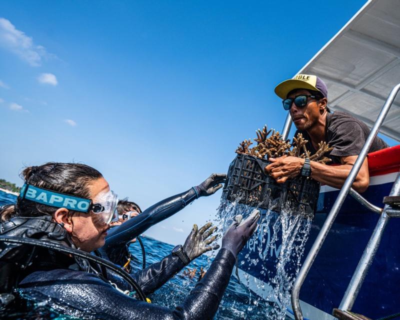 Divers transplanting coral at the Nusa Penida restoration site