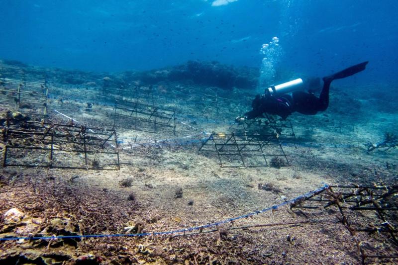 Modular coral frames being installed at the Nusa Penida restoration site