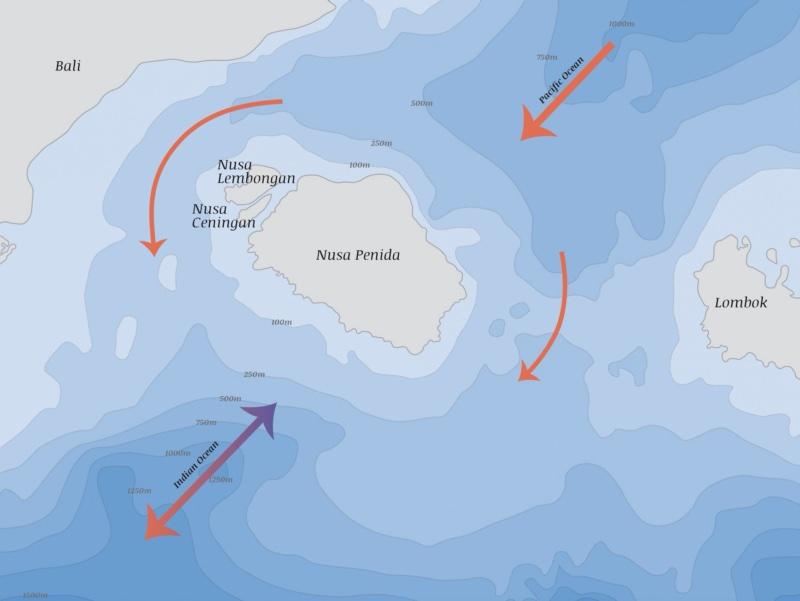 Map of the Nusa Islands showing ocean currents flowing past the Marine Protected Area